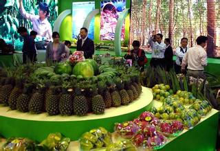 “十三五”我省做大做強(qiáng)熱帶特色高效農(nóng)業(yè)農(nóng)產(chǎn)品逐步實現(xiàn)“訂單式生產(chǎn)”