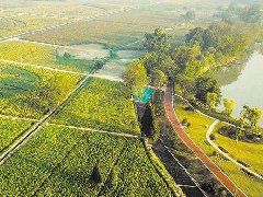 銅陵以項目建設抓手推進三產融合發展