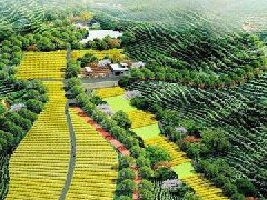 安徽省農(nóng)業(yè)農(nóng)村廳關(guān)于第三批省級現(xiàn)代農(nóng)業(yè)產(chǎn)業(yè)園名單的公示