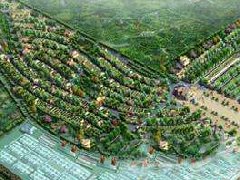 安新現代農業產業園 萬朵牡丹迎新春