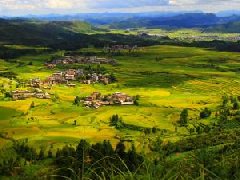 2021年現(xiàn)代農(nóng)業(yè)產(chǎn)業(yè)園創(chuàng)建要點(diǎn)及政策分析！