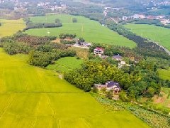 現(xiàn)代農(nóng)業(yè)產(chǎn)業(yè)園如何申報(bào)及相關(guān)政策