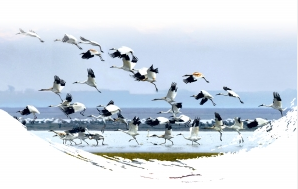 江西5個高新區(qū)將聯(lián)合建設鄱陽湖國家自主創(chuàng)新示范區(qū)