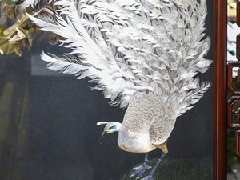 江蘇蘇州打造蘇繡特色小鎮