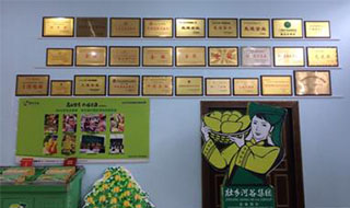 “芒果百色，香飄百地” 國內(nèi)首家芒果精深加工特色產(chǎn)業(yè)基地申報(bào)進(jìn)行時(shí)