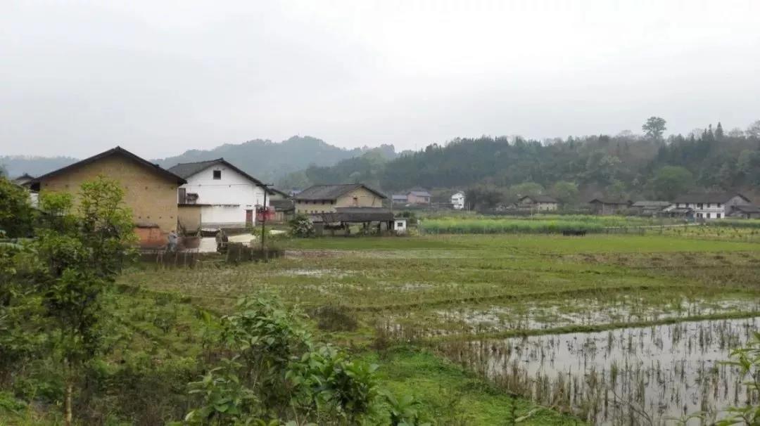 農村土地確權結束，沒登記的四荒地如何處理？