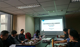 問診專家，繪制龍鄉銅梁鄉村振興新藍圖