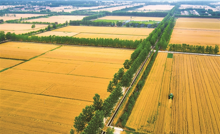 江蘇：魚米之鄉，鄉村產業動能澎湃