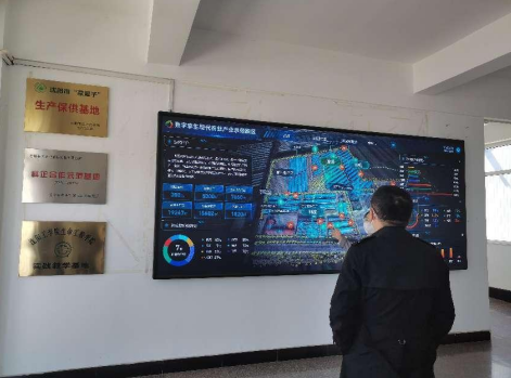 依托糧食和蔬菜兩大優質產業,新民市向國家農業現代化示范區邁進