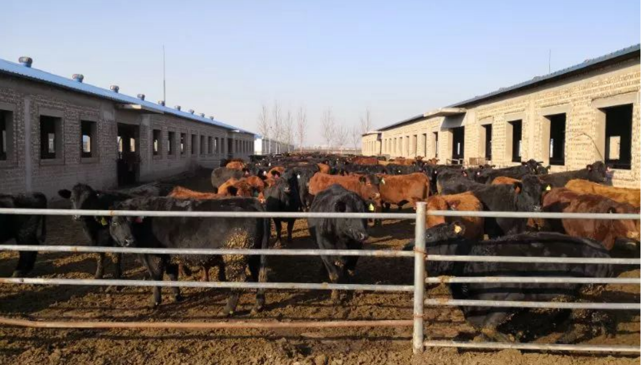 高新院賦能祁縣：雙輪驅(qū)動(dòng)鑄就現(xiàn)代農(nóng)業(yè)產(chǎn)業(yè)園標(biāo)桿